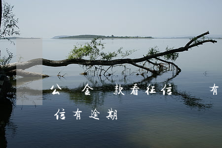 公積金貸款看征信嗎沒有逾期(公積金貸款征信有逾期)