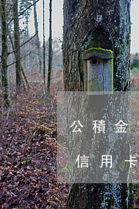 公積金貸款碰到信用卡逾期(公積金貸款買房信用卡逾期了怎么辦)