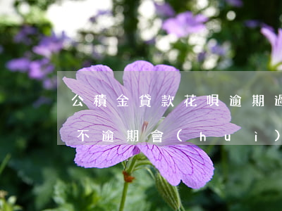 公積金貸款花唄逾期過(guò)(花唄借唄不逾期會(huì)不會(huì)影響公積金貸款)