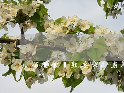 公積金貸款要求0逾期(公積金逾期怎么辦)
