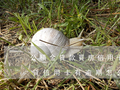 公積金貸款買房信用卡逾期了怎么辦（武漢房貸信用卡有逾期怎么辦）
