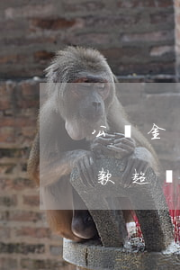 公積金貸款超過多久沒還算逾期-公積金貸款超過多久沒還算逾期了