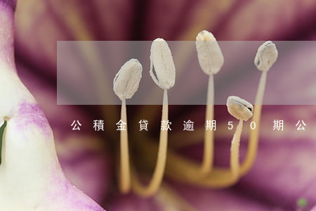公積金貸款逾期50期(公積金房貸逾期)