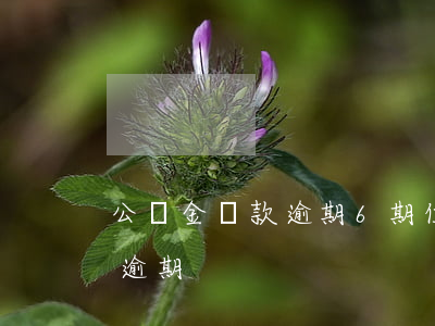 公積金貸款逾期6期(住房公積金貸款多久算逾期)