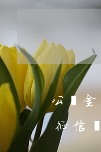 公積金貸款逾期7天征信(貸款逾期7天會上征信嗎)