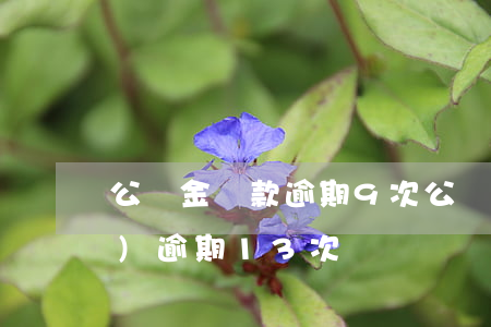 公積金貸款逾期9次(公積金貸款累計(jì)逾期13次)