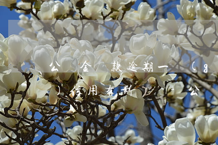 公積金貸款逾期一個(gè)月對(duì)信用有影響嗎-公積金貸款逾期一個(gè)月對(duì)信用有影響嗎