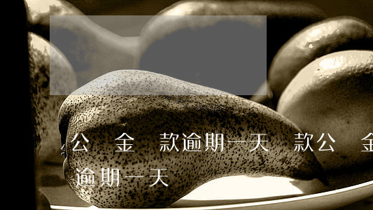 公積金貸款逾期一天罰款(公積金貸款不小心逾期一天)