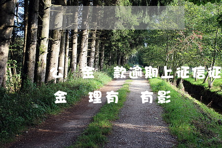 公積金貸款逾期上征信(征信逾期對住房公積金辦理有沒有影響)