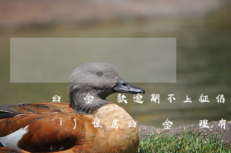 公積金貸款逾期不上征信(征信逾期對(duì)住房公積金辦理有沒有影響)