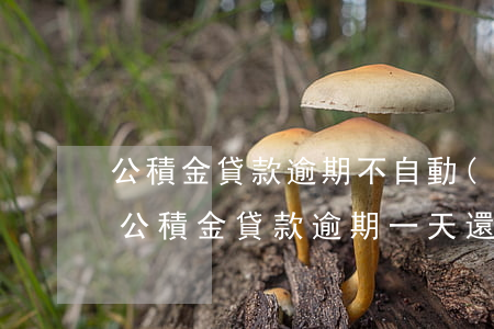 公積金貸款逾期不自動(dòng)扣(住房公積金貸款逾期一天還會(huì)自動(dòng)扣款嗎)