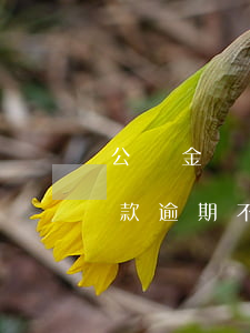 公積金貸款逾期不記錄在征信嗎-公積金貸款逾期不記錄在征信嗎有影響嗎