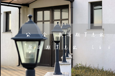 公積金貸款逾期了怎么補(bǔ)(公積金貸款逾期了怎么補(bǔ)救)
