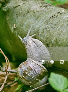 公積金貸款逾期催收短信(收到貸款逾期短信)