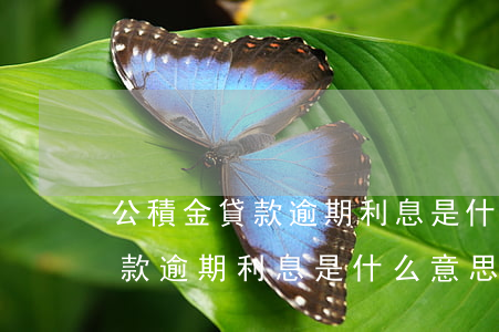 公積金貸款逾期利息是什么意思-公積金貸款逾期利息是什么意思