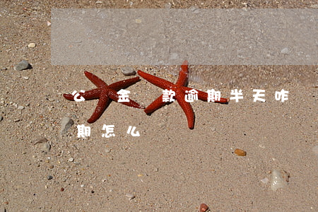 公積金貸款逾期半天咋辦(公積金貸款逾期一期怎么辦)