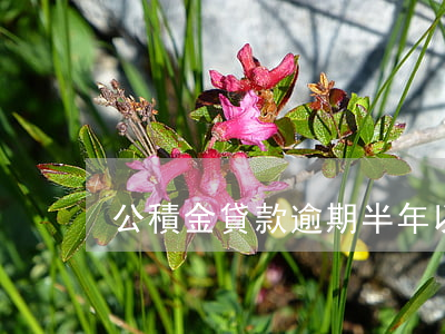 公積金貸款逾期半年以上(公積金房貸逾期)
