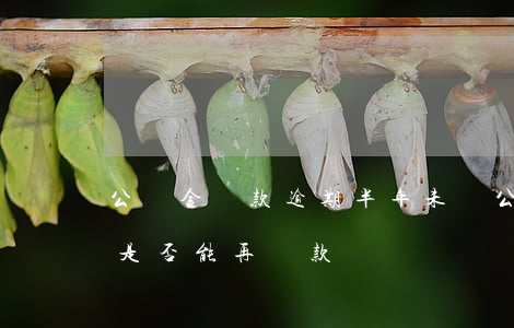 公積金貸款逾期半年未還(公積金有一次逾期是否能再貸款)