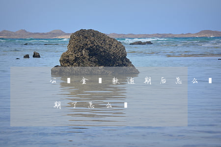 公積金貸款逾期后怎么還(住房公積金貸款逾期了怎么還)