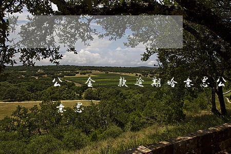 公積金貸款逾期啥意思(公積金逾期金額什么意思)