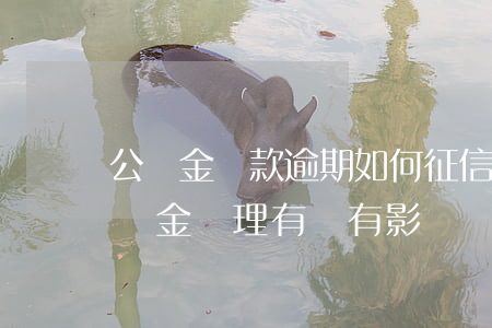 公積金貸款逾期如何征信(征信逾期對住房公積金辦理有沒有影響)