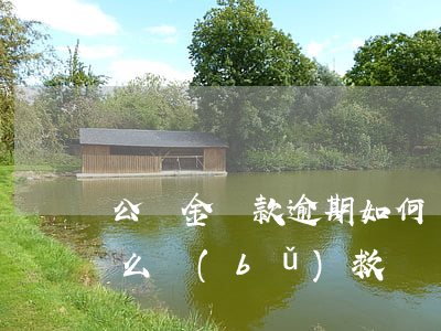 公積金貸款逾期如何辦理(公積金貸款逾期怎么補(bǔ)救)