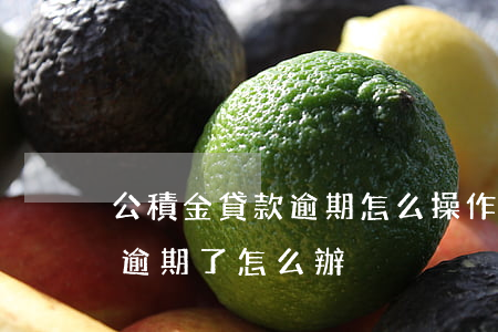 公積金貸款逾期怎么操作(公積金貸款不小心逾期了怎么辦)