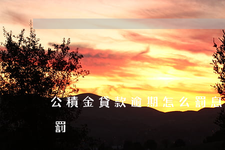 公積金貸款逾期怎么罰息(貸款逾期罰款怎么罰)