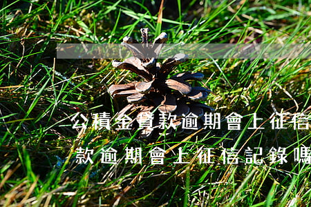 公積金貸款逾期會上征信記錄嗎-公積金貸款逾期會上征信記錄嗎怎么辦