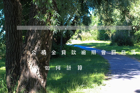 公積金貸款逾期會罰息嗎(公積金貸款逾期罰息如何計算)