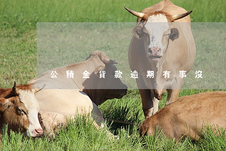 公積金貸款逾期有事沒