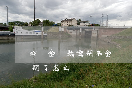 公積金貸款逾期本金總額(住房公積金貸款逾期了怎么還)