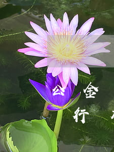 公積金貸款逾期沒還(住房公積金貸款逾期了銀行沒有通知怎么辦)