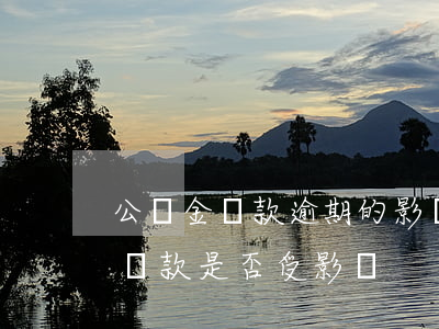 公積金貸款逾期的影響(信用卡有逾期公積金貸款是否受影響)