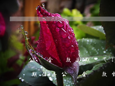 公積金貸款逾期聯(lián)系哪里(有逾期住房公積金貸款能貸下來(lái)嗎)