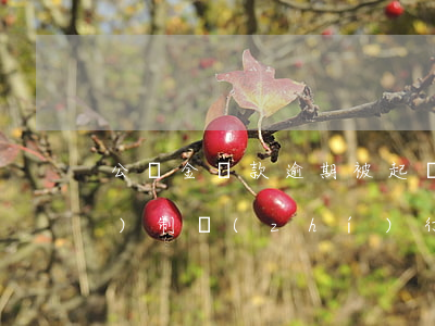 公積金貸款逾期被起訴多久強(qiáng)制執(zhí)行 公積金貸款逾期被起訴多久強(qiáng)制執(zhí)行