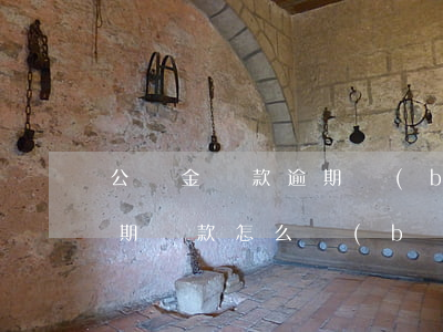 公積金貸款逾期補(bǔ)繳(公積金房貸逾期還款怎么補(bǔ)救)