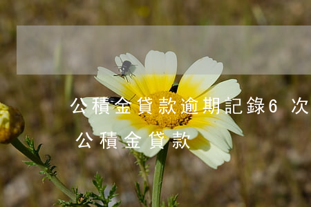 公積金貸款逾期記錄6次(征信逾期三次住房公積金貸款)