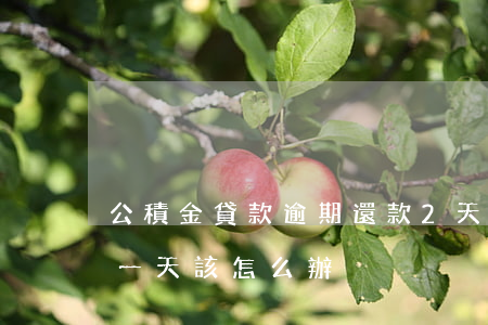公積金貸款逾期還款2天(公積金還貸款逾期一天,該怎么辦)