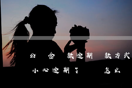 公積金貸款逾期還款方式(公積金還款如果不小心逾期了 應該怎么辦?)