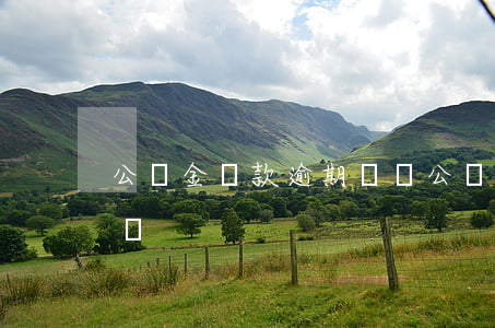 公積金貸款逾期預測(公積金貸款逾期預測 冠軍)