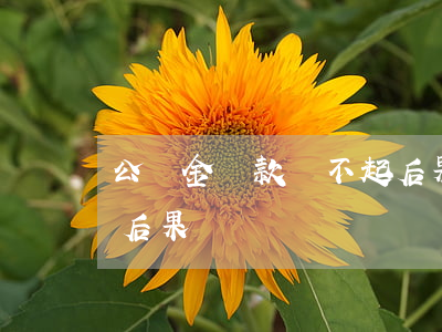 公積金貸款還不起后果-公積金貸款還不起后果