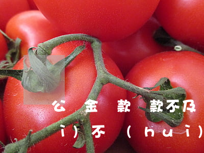 公積金貸款還款不及時(shí)會(huì)不會(huì)上征信（公積金還款貸款還不起怎么辦）