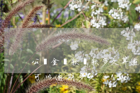 公積金貸款還款多久算逾期（公積金貸款還款可以逾期多久）