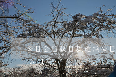 公積金貸款還款逾期 公積金貸款還款逾期怎么補交