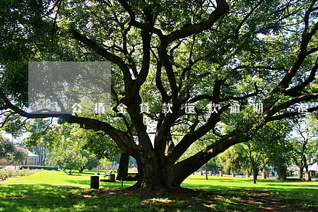 公積金貸款還款逾期沒還