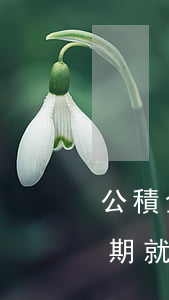 公積金貸款顯示零逾期(公積金貸款有一次逾期就不貸嗎)