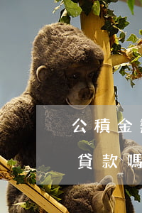 公積金辦理逾期還款(逾期還清后可以公積金貸款嗎)
