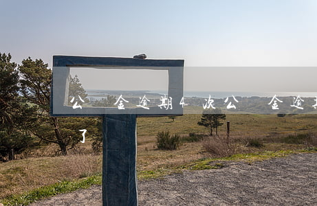 公積金逾期4次(公積金逾期幾次不能再貸款了)