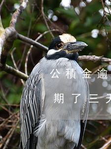 公積金逾期了三天還影響征信嗎-公積金逾期了三天還影響征信嗎怎么辦